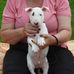 Carol Krawczyk - Facebook