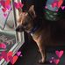 Carol Krawczyk - Facebook