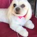 Carol Krick - Facebook