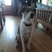 Carol Krick-Villagomez - Facebook