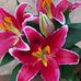 Carol Kroll - Facebook