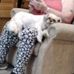Carol Lambourne - Facebook
