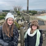 Carolyn Lambourne - @carolynlambourne34968 - Instagram