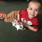 Carol Lamm - Facebook