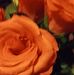 Carol Landeros - Facebook