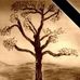 Carol Lane - Facebook