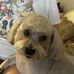 Caroll Lanham - Facebook
