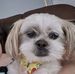 Carol Lantz - Facebook