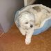 Carol Lantz - Facebook