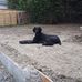 Carol Lapierre - Facebook