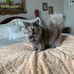 Carole Lapierre - Facebook