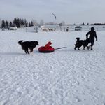 Carol Lapointe - @carol.lapointe.12 - Instagram