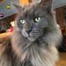 Carol LaPointe - Facebook