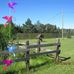 Carol Laporte - Facebook