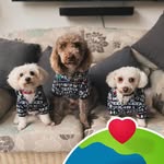 Carol Large - @carollarge - Instagram
