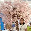 carollaude - @carollaude - TikTok