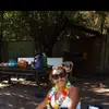 carolleddycordova6 - @carolleddycordova6 - TikTok