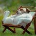 Carol Ledoux - Facebook