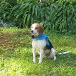 Carol Manning - @cm4r.manning - Instagram