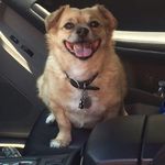 Carol Mosley - @carol.mosley.98 - Instagram