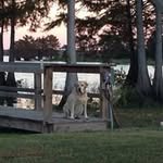 Carol McDaniel Myrick - @myrick.c - Instagram