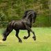 Carol Neth - Facebook
