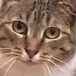 Carol Nettleton - @nettleton.carol - Instagram