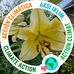 Carol Nettleton - Facebook