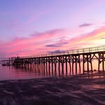 Carol Newcomb McEnaney - @cnewcombmcenaney - Instagram