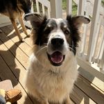 Carol Nicely - @knitaz4life - Instagram