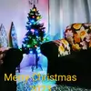 CarolNick - @carolnick_449828212812 - TikTok