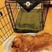 Carol Nickell - Facebook