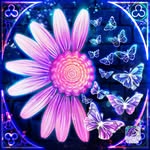 Carol Nitz Meyer - @carolameyer41 - Instagram