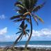 Carola Noack - Facebook
