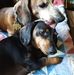 Caroline Noack - Facebook