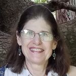 Carol Ostrow - @carologoes - Instagram