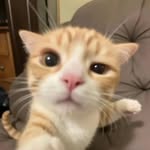 Carol Oswald - @cizarol - Instagram