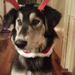 Carol Oswald-Clark Rank - @rankcarol - Instagram