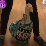 Oswald Carol - @oswald.carol - Instagram