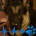 Carol Otto - Facebook