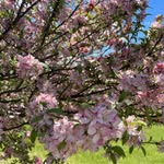 Carol Otto - @carolotto53 - Instagram