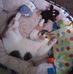 Carol Otto - Facebook