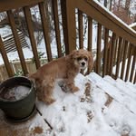 Carol Overbeck Cranford - @cocranford - Instagram