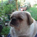 Carol Ann Overton - @caroloverton2020 - Instagram