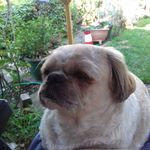 carol overton - @caroloverton1 - Instagram