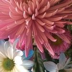 Carol Overton - @carol.overton - Instagram
