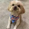carolpatnode835 - @carolpatnode835 - TikTok