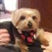 Carol Patterson - Facebook