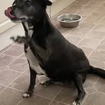 CAROL PATTRICK - @carollpattrick9 - Instagram