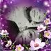 Carol Patten - Facebook